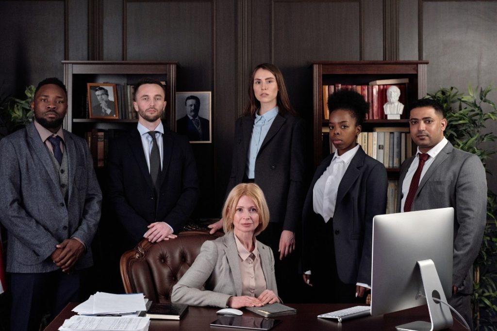 This image shows a group of Professional Lawyers